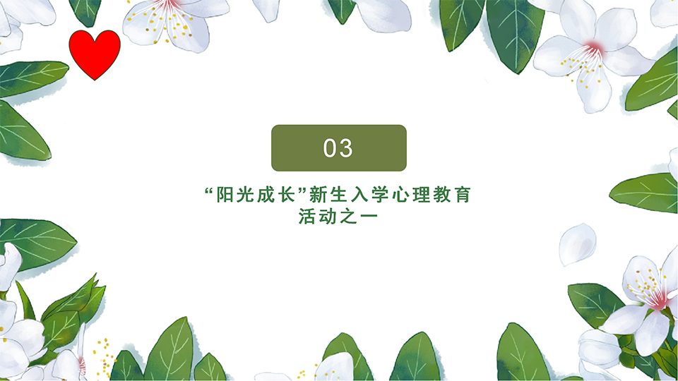 图片9
