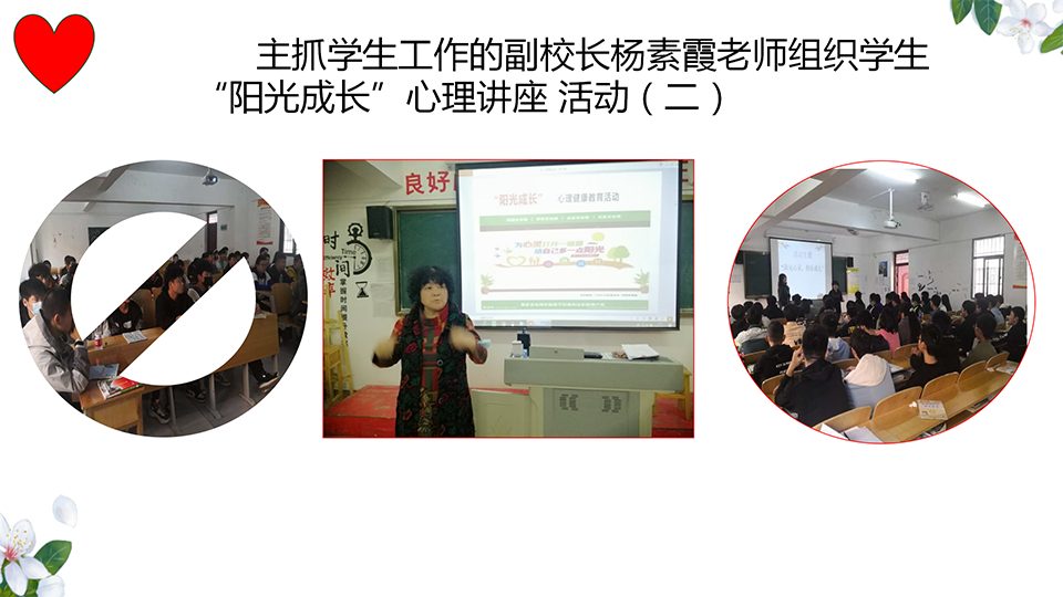 图片12