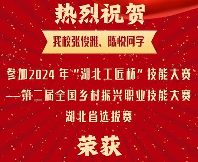 热烈祝贺我校张俊雅、陈悦同学参加2024“湖北工匠杯”技能大赛荣获各专业优胜奖！