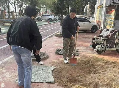 凝心聚力展新颜 整洁校园迎开学——学校后勤部门扎实开展新学期开学保障工作